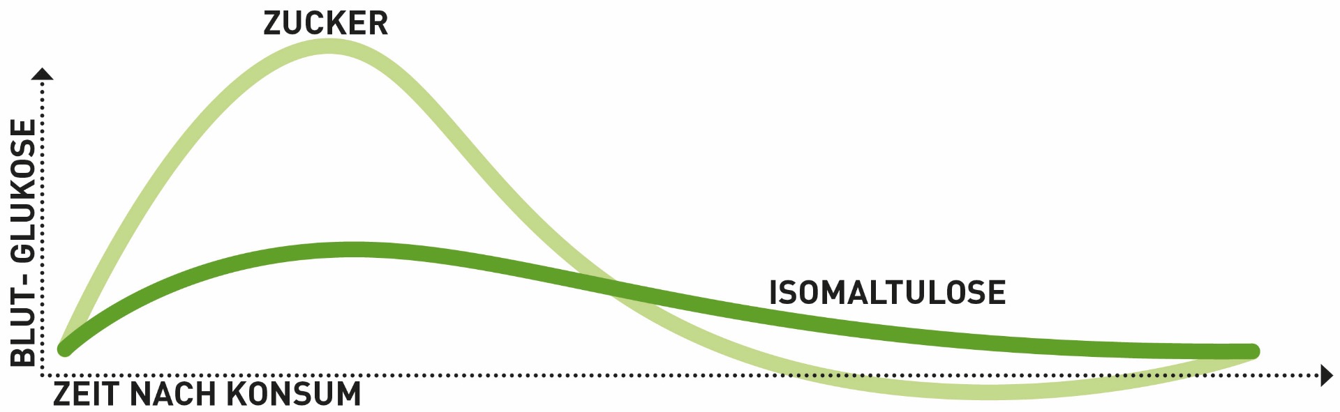 Blut-Zucker Kurve